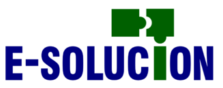 E-SOLUCIÓN SAS: